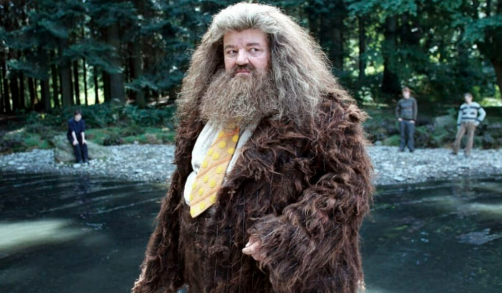 Hagrids Todesursache geklärt! Daran starb der  “Harry Potter“-Star wirklich!