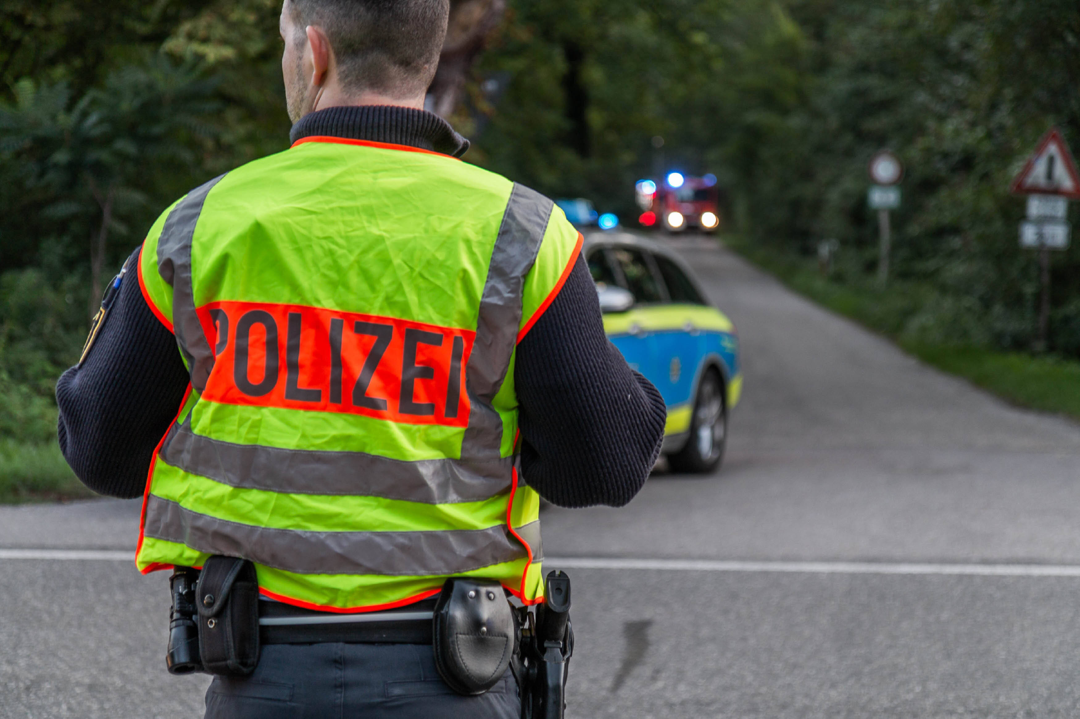Kein Scherz! Mysteriöser Wolfsmensch im Harz gesichtet - Rettungskräfte ausgerückt, Wo versteckt er sich?