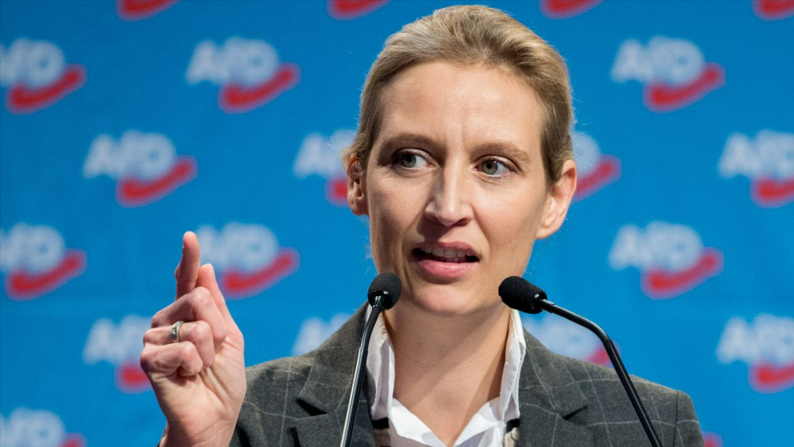 Rekordwert für die AfD! Partei laut Umfragen nicht zu stoppen - Letzte Zahlen sind unglaublich!
